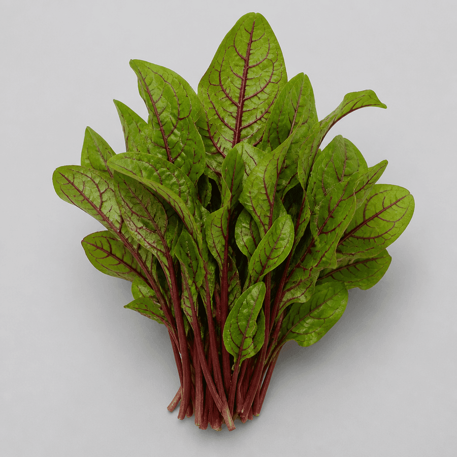 Fresh Sorrel